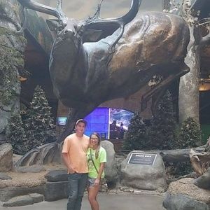 Meet your Posher, Caitlyn